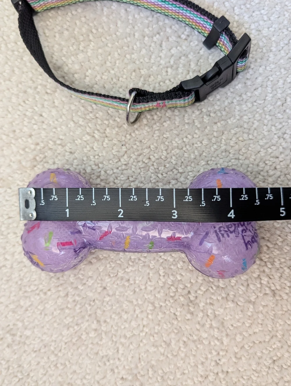 Birthday Bone Squeaker Toy And Small Multicolor Stripped Collar Set